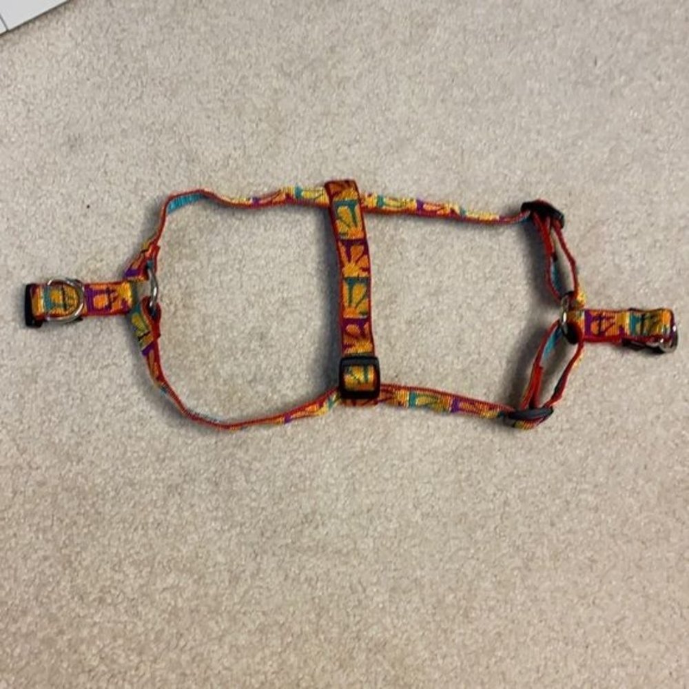 Dog Harness